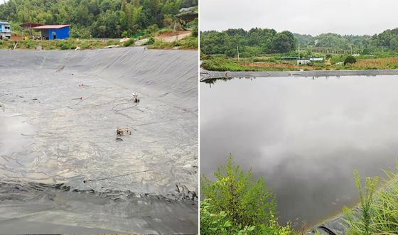 Высокопроизводительная гладкая геомембрана из HDPE с 700% удлинением при разрыве, отличной химической устойчивостью и настраиваемой шириной для аквакультуры