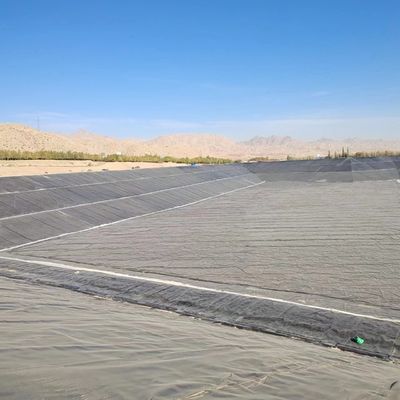Отличная устойчивость к химическим веществам HDPE геомембрана для эффективного контроля просачивания в инженерных приложениях окружающей среды