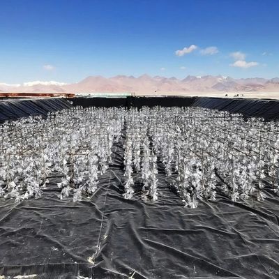 Устойчивая к кислотам и щелочам, устойчивая к рву HDPE гладкая геомембрана для инженерного проекта по борьбе с утечкой