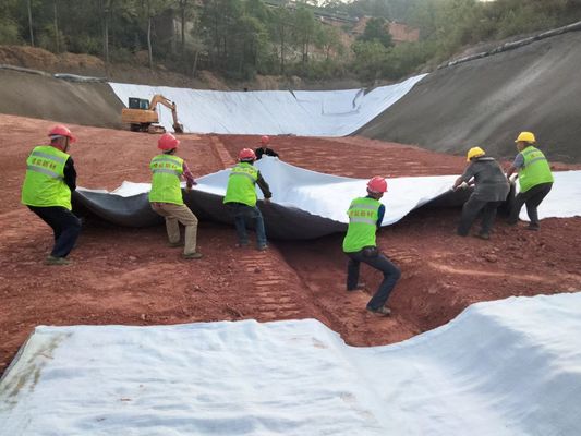 DrainGrid Pro 3D Composite Geomat: The All-in-One Solution for Civil and Landscaping Projects